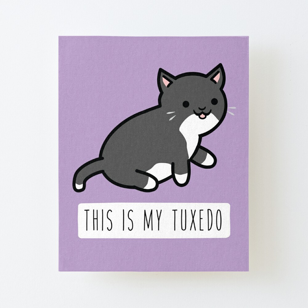 ✧ꫛꫀꪝ✧特大入り✧Tuxedo cat✧✧ハチワレねこ✧コラージュペーパー✧-