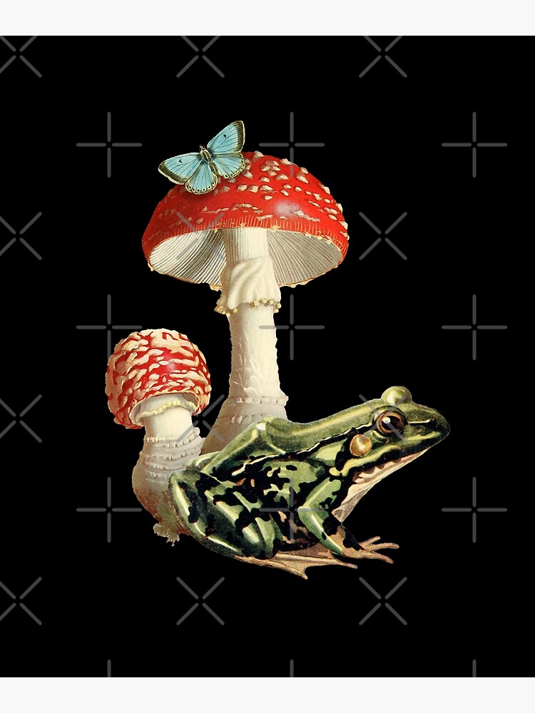 Cottagecore Frog Aesthetic Fairy Mushroom Goblincore T-Shirt 