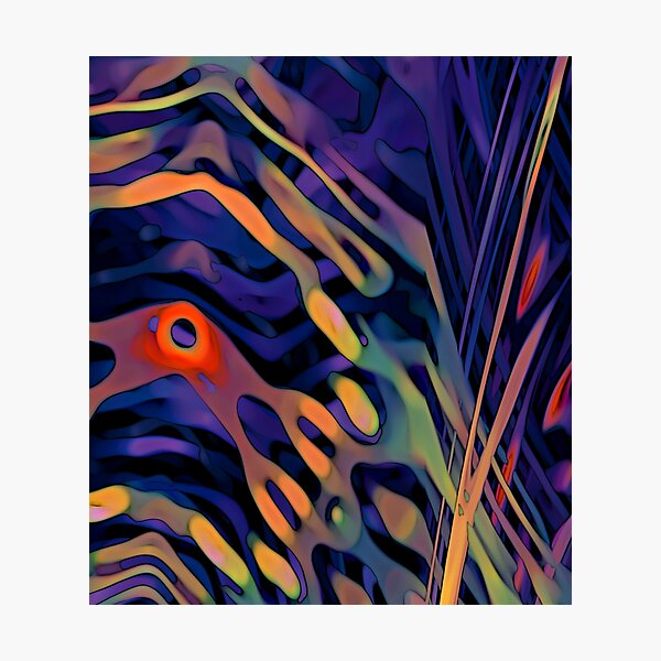 There It Is Photographic Print