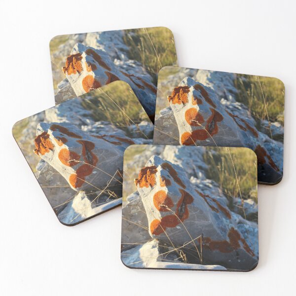 Item preview, Orange lichen colonies on light stone designed and sold by Mahirov Shop.