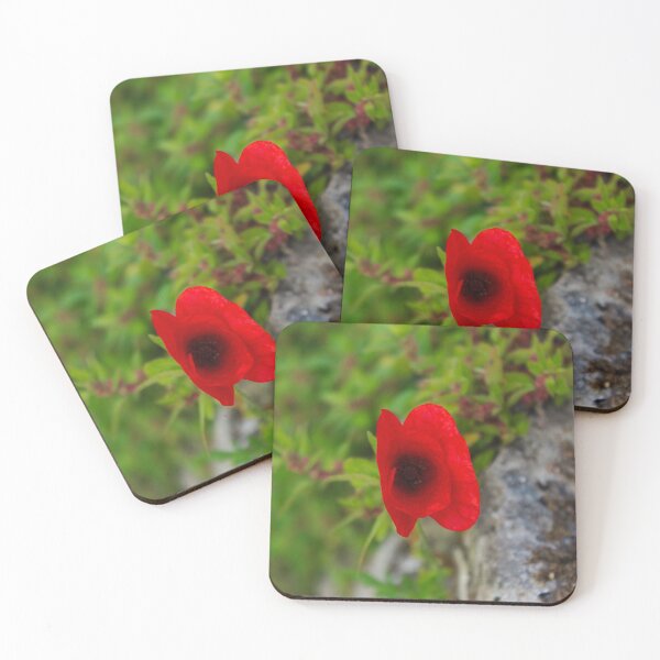 Item preview, Red poppy flower on the wall designed and sold by Mahirov Shop.
