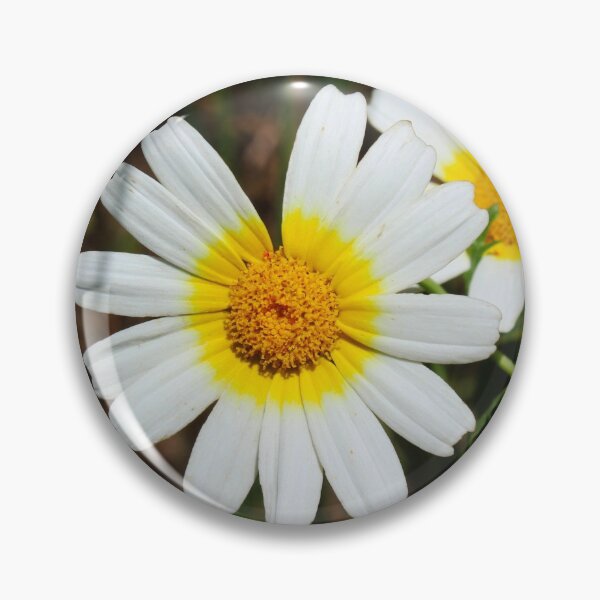 Item preview, Chrysanthemum coronarium wild flower designed and sold by Mahirov Shop.