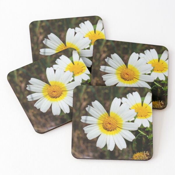 Item preview, Chrysanthemum coronarium wild flower designed and sold by Mahirov Shop.