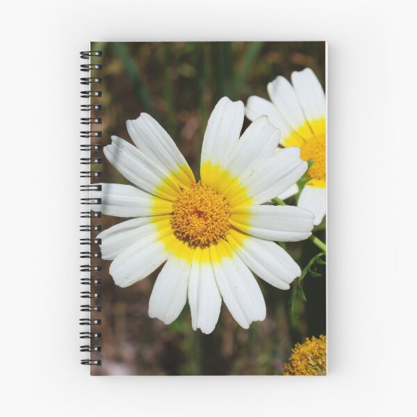 Item preview, Chrysanthemum coronarium wild flower designed and sold by Mahirov Shop.