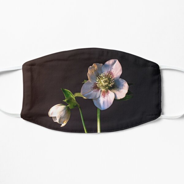 Masken Hellebore Redbubble