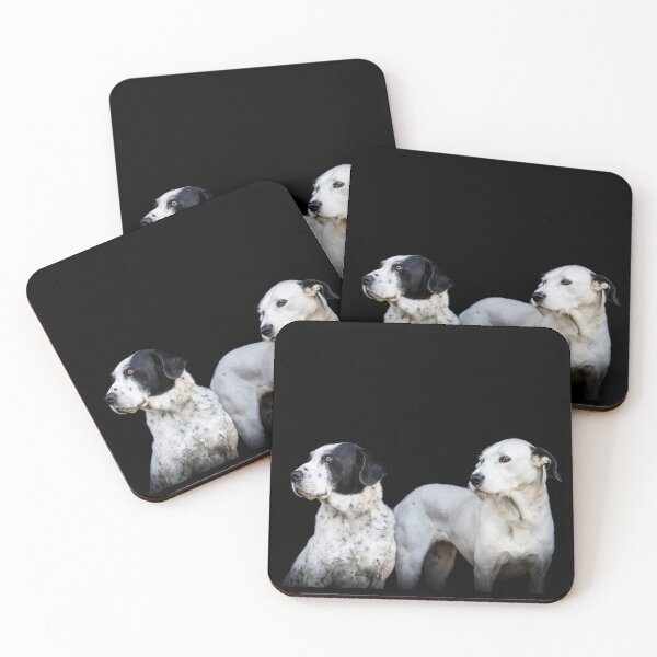 Item preview, Two black and white dogs, looking friendly to the side, black background. designed and sold by AylaHarbich.