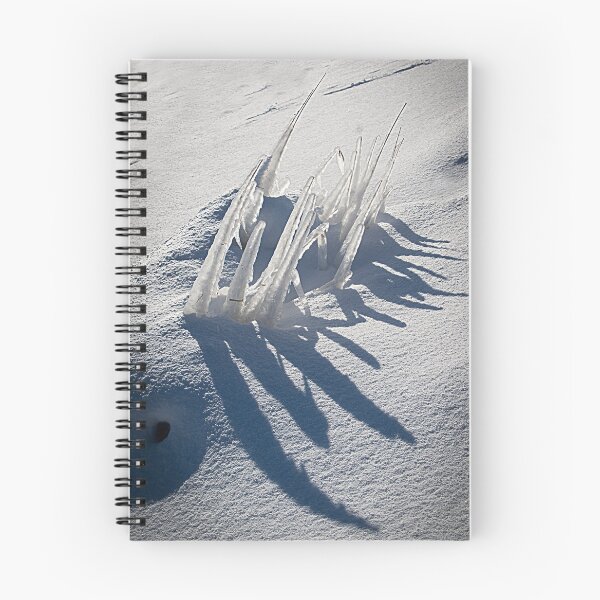Item preview, Iced whisps of grass casting shadows designed and sold by Michael Brewer.
