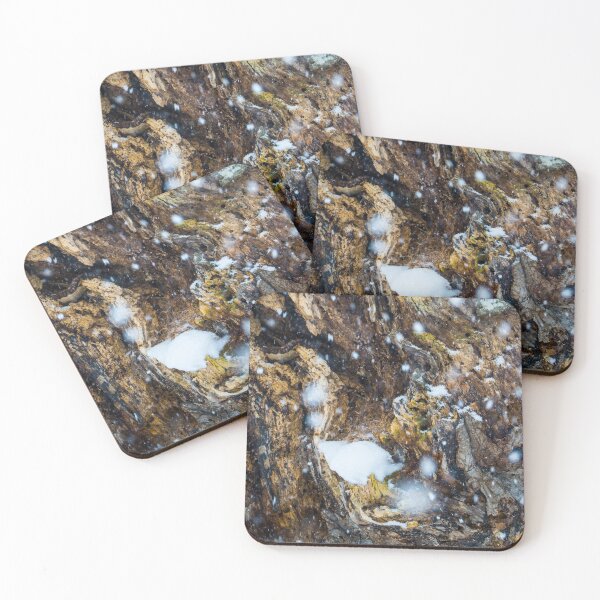 Item preview, Snow falling on a decaying tree texture designed and sold by Michael Brewer.