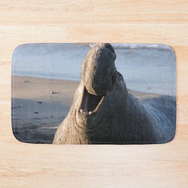 Item preview, Elephant seal designed and sold by MelKowasic.