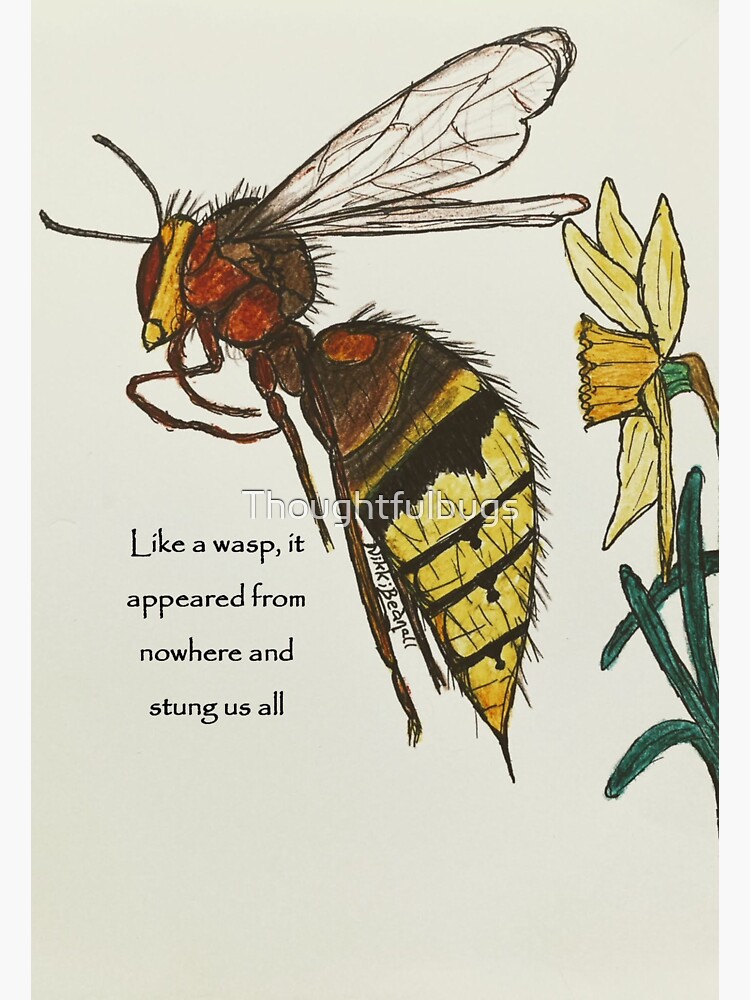 Wasp sting by Thoughtfulbugs