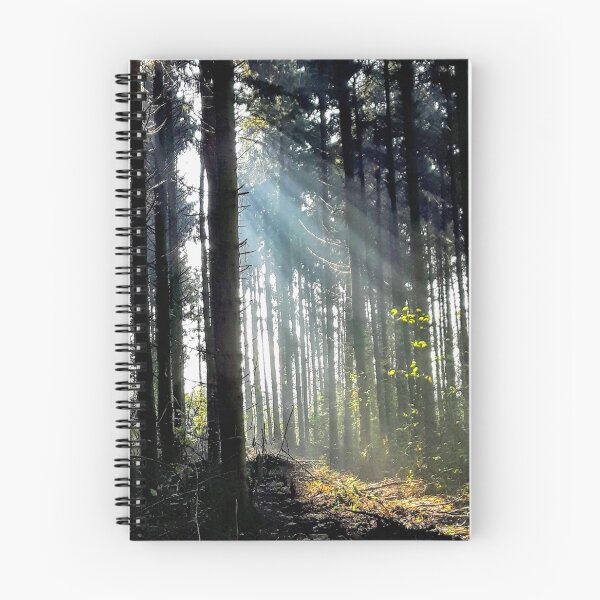 Item preview, Sunlight magic in the forrest designed and sold by Ioka.