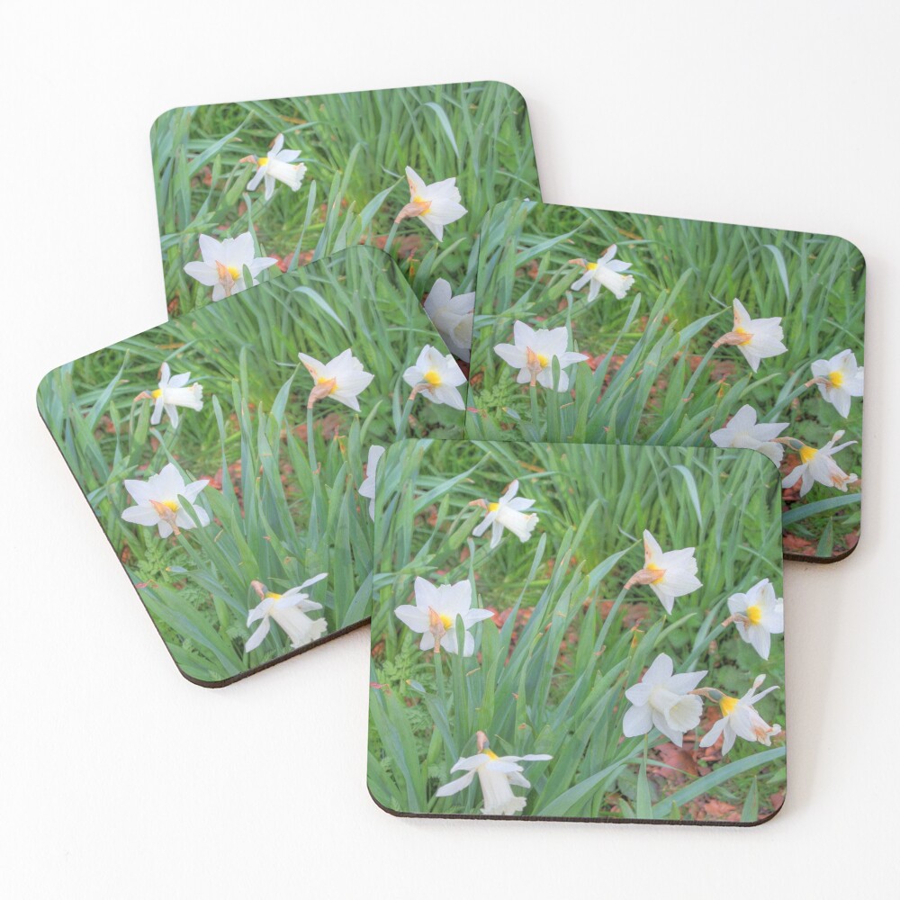 Item preview, Coasters (Set of 4) designed and sold by tomg.