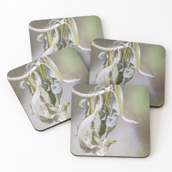 Item preview, Lights Go Low designed and sold by Denise Abé.