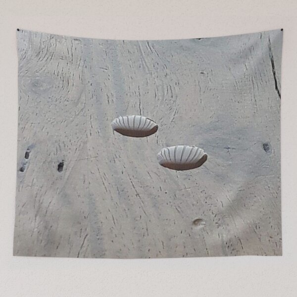 Item preview, Twin drops  designed and sold by Ioka.