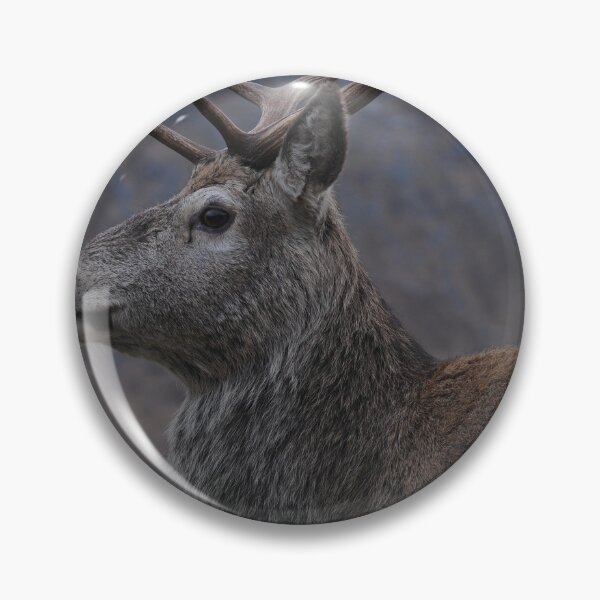 Item preview, Glen Etive Stag Glen Etive Scotland  designed and sold by Stephen  Hollas.
