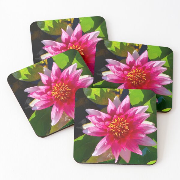 Item preview, Lotus blossom in full bloom on a summer's day designed and sold by Michael Brewer.