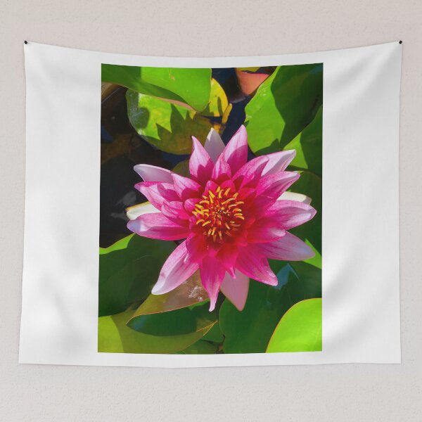 Item preview, Lotus blossom in full bloom on a summer's day designed and sold by Michael Brewer.