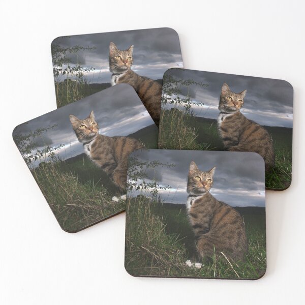 Item preview, Edmund the model cat designed and sold by turniptowers.