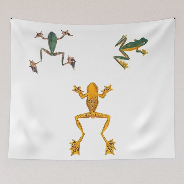 Item preview, 3 Frogs sticker pack, rainforest exotic frogs colorful designed and sold by Nostrathomas66.