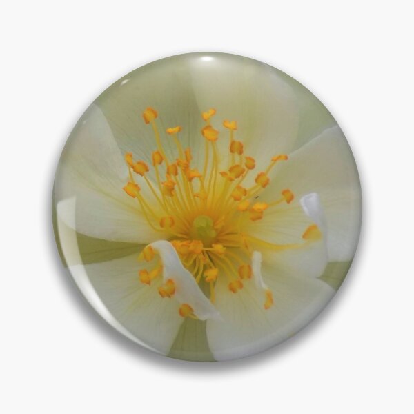 Item preview, Dog Rose designed and sold by RedJayTreasures.