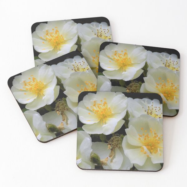Item preview, Dog Rose designed and sold by RedJayTreasures.