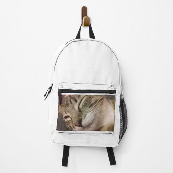 Item preview, sleeping cat designed and sold by TheBayanShop.