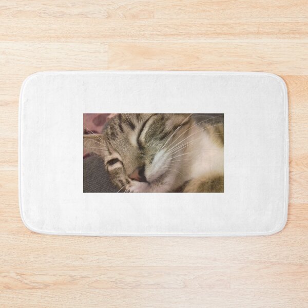 Item preview, sleeping cat designed and sold by TheBayanShop.