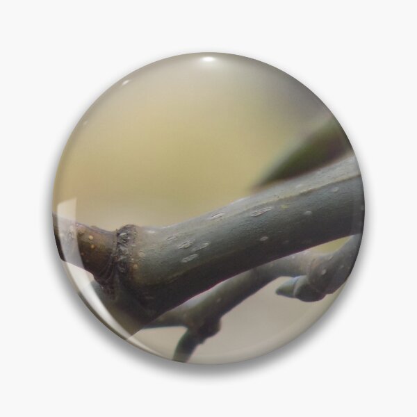 Item preview, Autzen Waterfront Branches Macro shot designed and sold by RedJayTreasures.