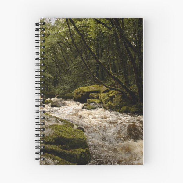 Item preview, Golitha Falls designed and sold by Samantha Higgs.