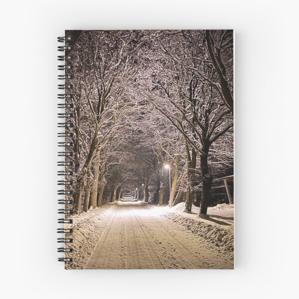 Item preview, Tree-lined alley in the snow at night in Zirkow, Rügen Island, Germany designed and sold by Michael Brewer.