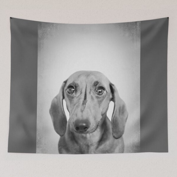 Item preview, Dachshund dog - BW Vintage - D82 designed and sold by DecoVintage.