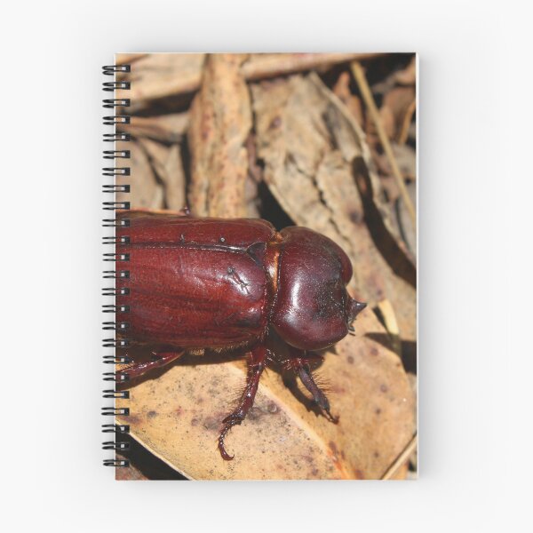 Item preview, Beetle on a Dry Leaf designed and sold by rhamm.