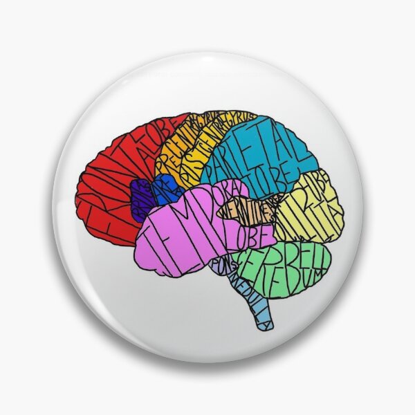 Item preview, Labeled Brain  designed and sold by becidgls.