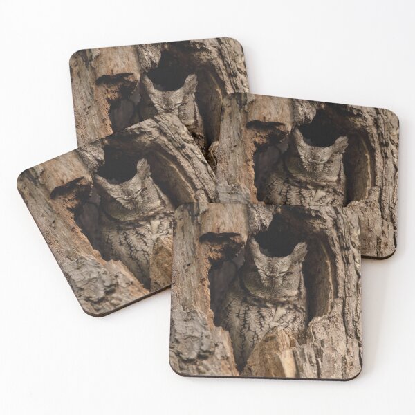 Item preview, Eastern Screech Owl Camouflaged in a Tree designed and sold by Karen Hogan.