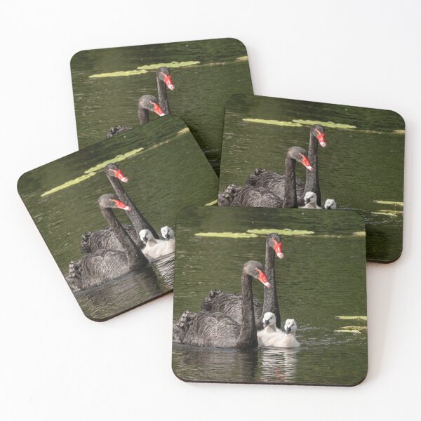 Item preview, Black Swan Family, Australia designed and sold by Andrew Goodall.
