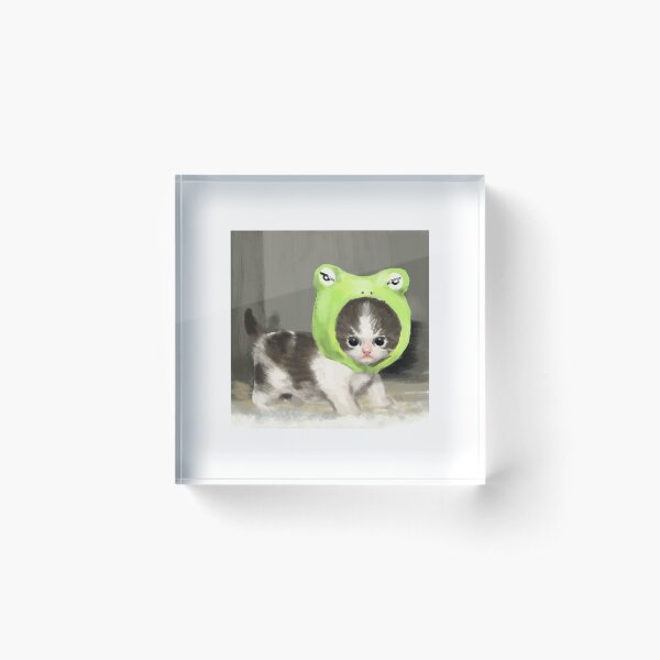 Little cat in froggy hat Acrylic Block