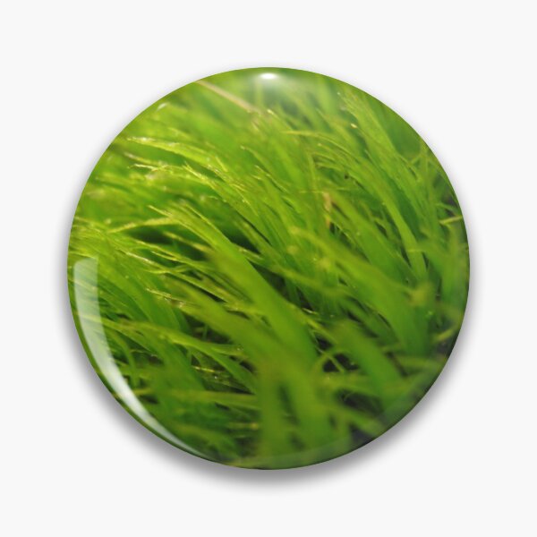 Item preview, Grassy designed and sold by yurahbom.
