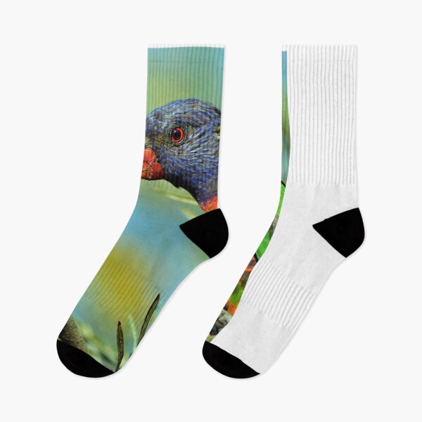 Item preview, Rainbow Lorikeet designed and sold by TheaShutterbug.