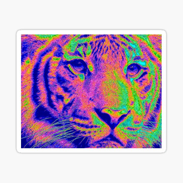 Rainbow stripey tiger art kid's name bag