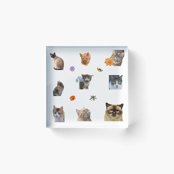 Item preview, Cute Cats Kittens Flower Stickers Bundle designed and sold by silviaol.