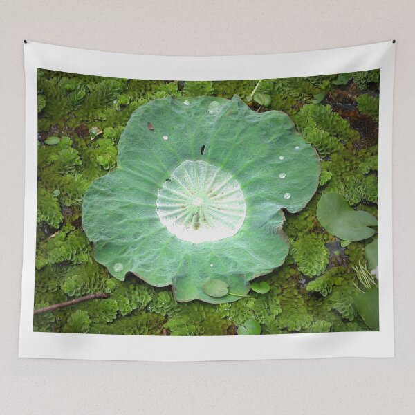 Item preview, Clarity designed and sold by Wolf's Art.