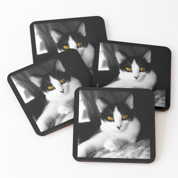 Item preview, Beautiful tuxedo cat with yellow eyes designed and sold by PandLcreations.