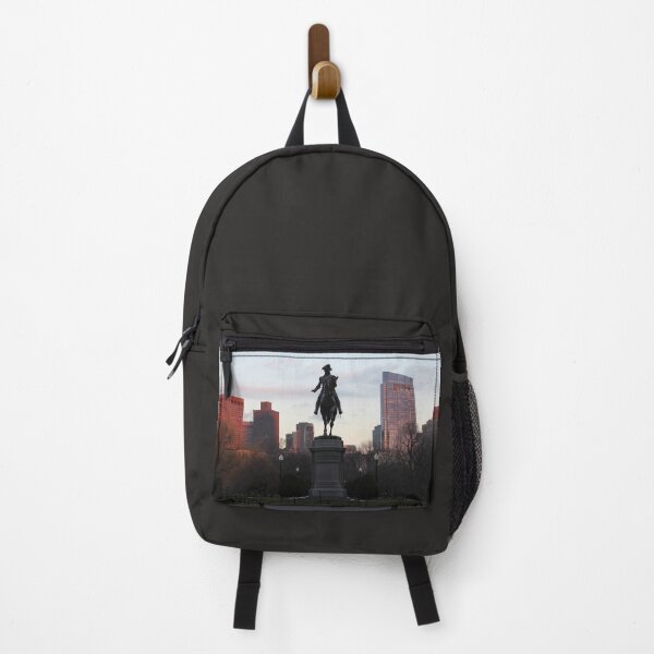 Item preview, Boston's Sunset Glow designed and sold by Autumn Seas Photography.