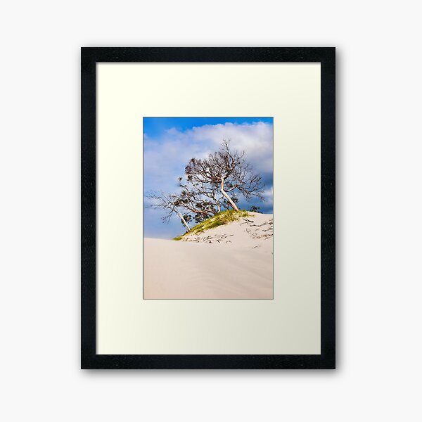 Item preview, Bent Trees - Frederick Henry Bay, Tasmania #2 designed and sold by Lexa Harpell.