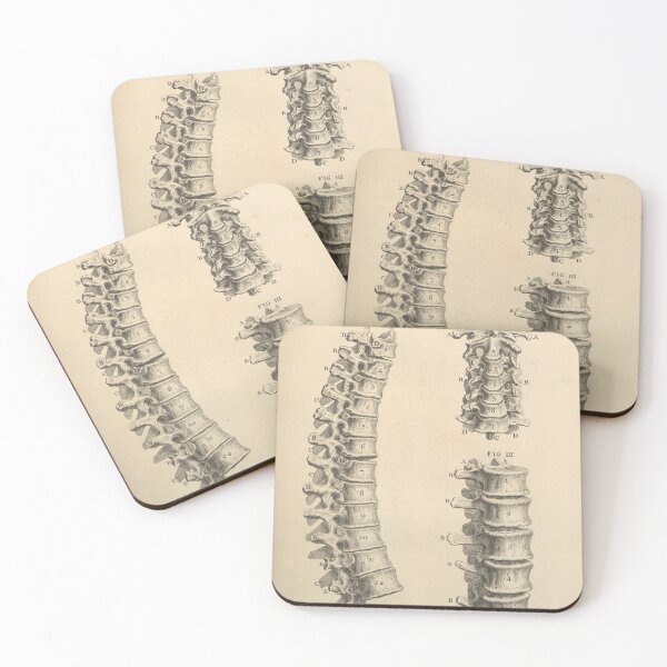 Item preview, Spine illustration designed and sold by Humanicorporis.