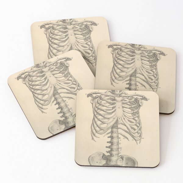 Item preview, Vintage torso skeleton illustration designed and sold by Humanicorporis.