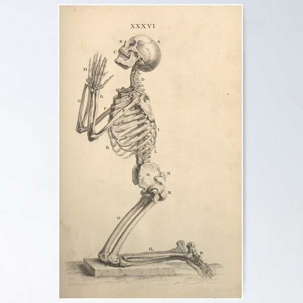 Item preview, Praying skeleton illustration designed and sold by Humanicorporis.