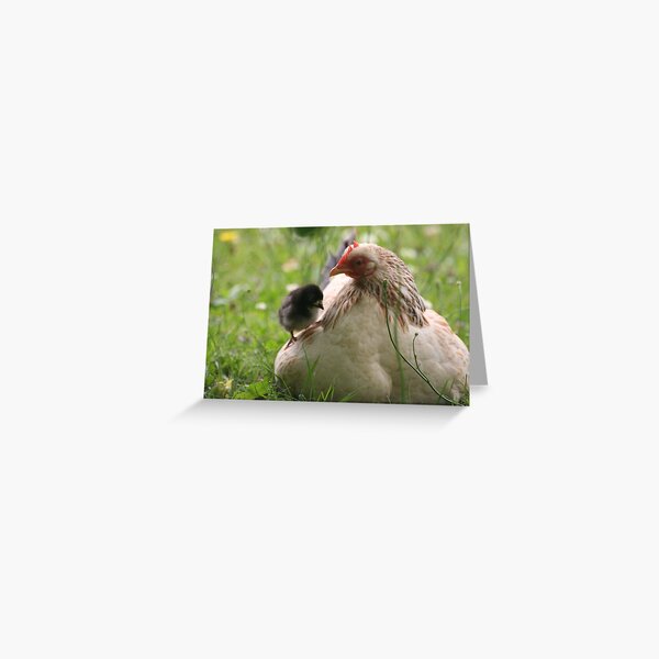 Just Winging it! Greeting Card