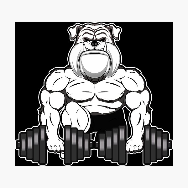 Pit Bull Weightlifting Funny Deadlift Men Fitness Gym Gifts Sticker for  Sale by HansShields