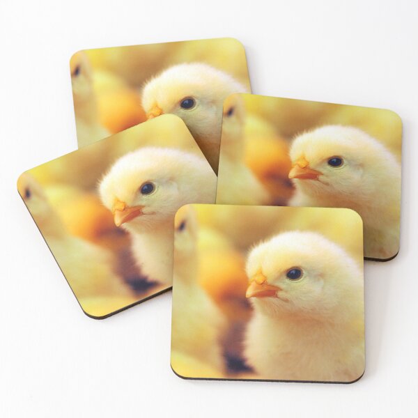 Item preview, Chicks designed and sold by Liz Lane.
